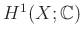 $ H^1(X;\mathbb{C})$