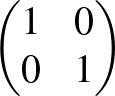 $\begin{pmatrix}1 & 0 \\ 0 & 1\end{pmatrix}$