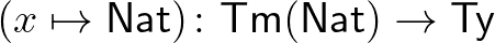 $(x\mapsto\mathsf{Nat})\colon \mathsf{Tm}(\mathsf{Nat})\rightarrow\mathsf{Ty}$