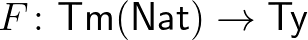 $F\colon \mathsf{Tm}(\mathsf{Nat})\rightarrow\mathsf{Ty}$