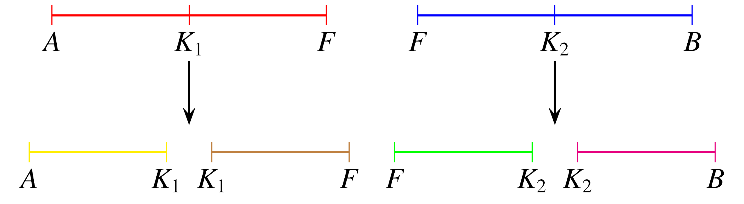 Valszam Fig24 pics scaled