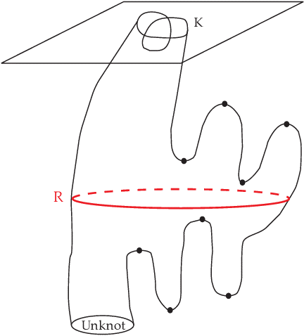 Metszet-csomó metszet csom