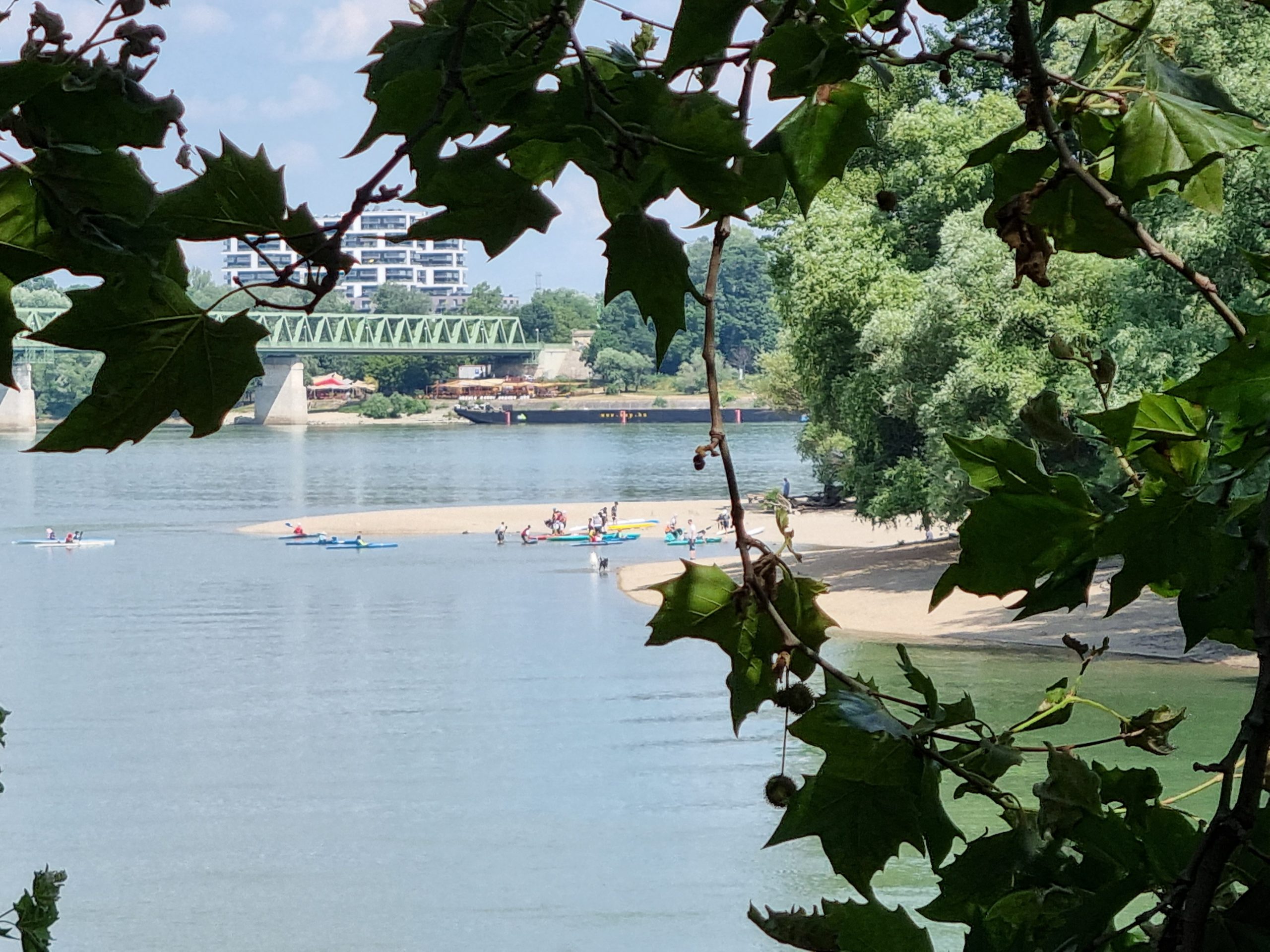 20230705 150921 scaled