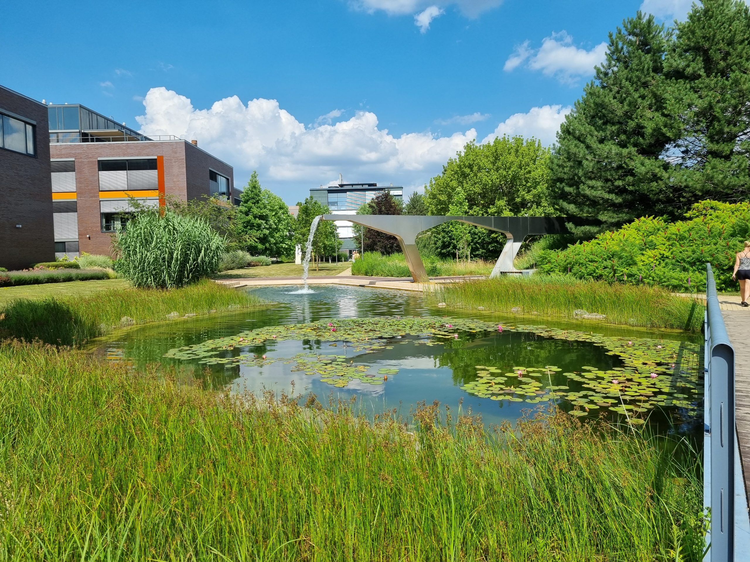 20230705 152458 scaled