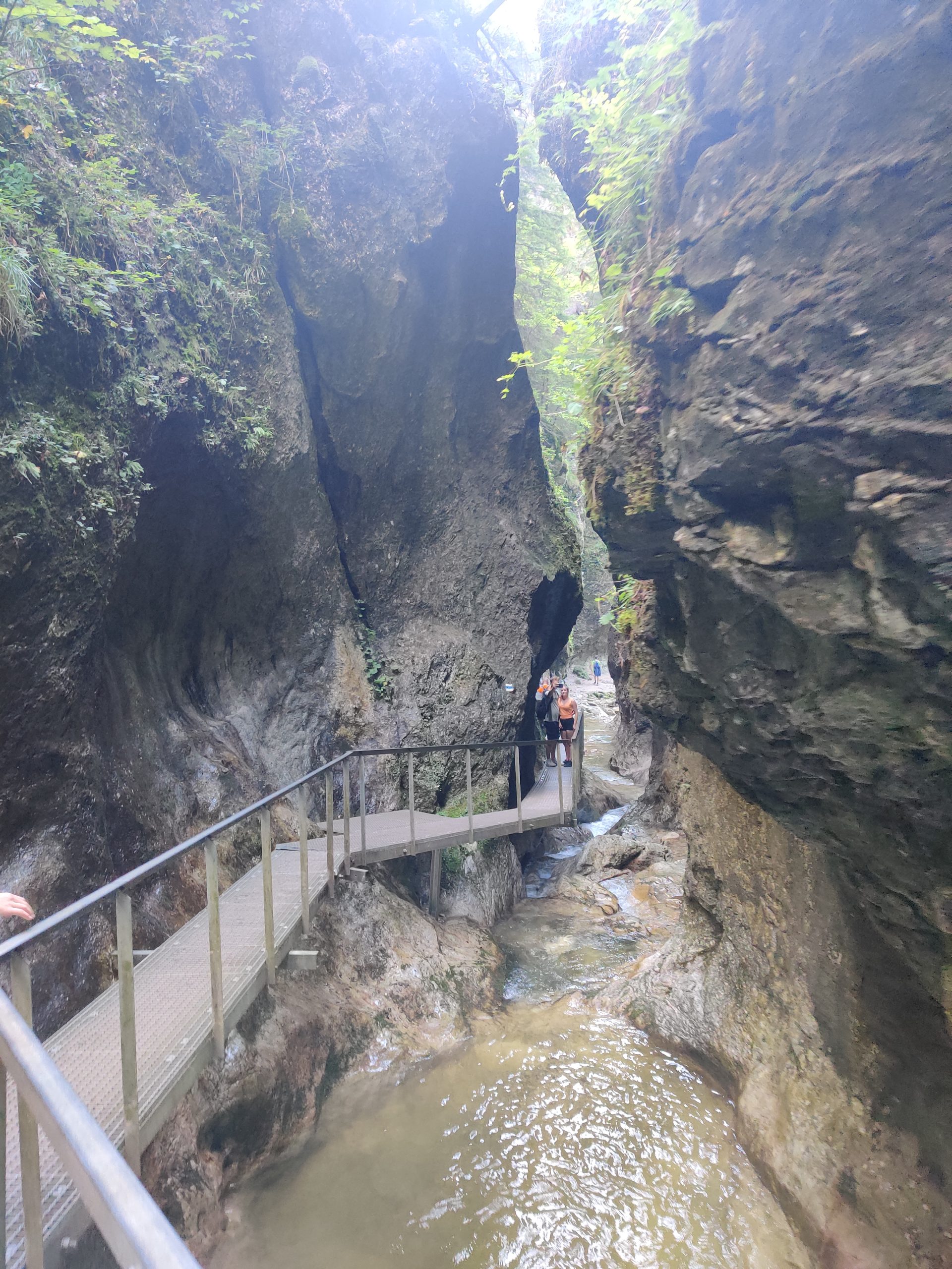 IMG 20230825 164927 scaled