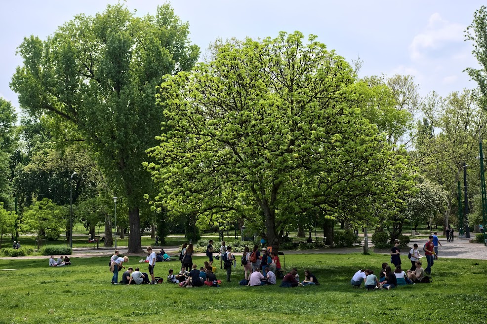 Medve Matek GO – okostelefonnal 16 medve 1 width=