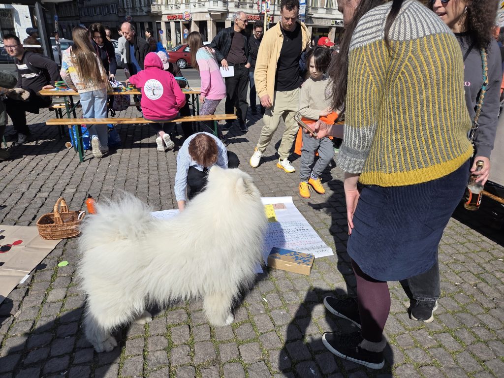 Matek az utcán a Blahán – ahol a számok életre keltek 7 20260314 124523