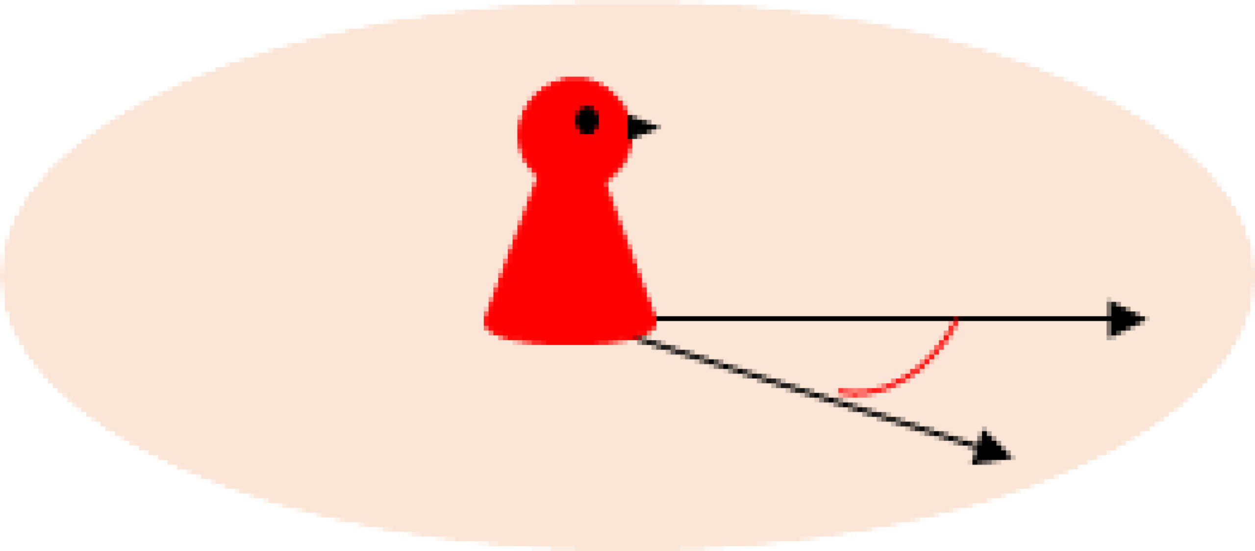 CNE fig10