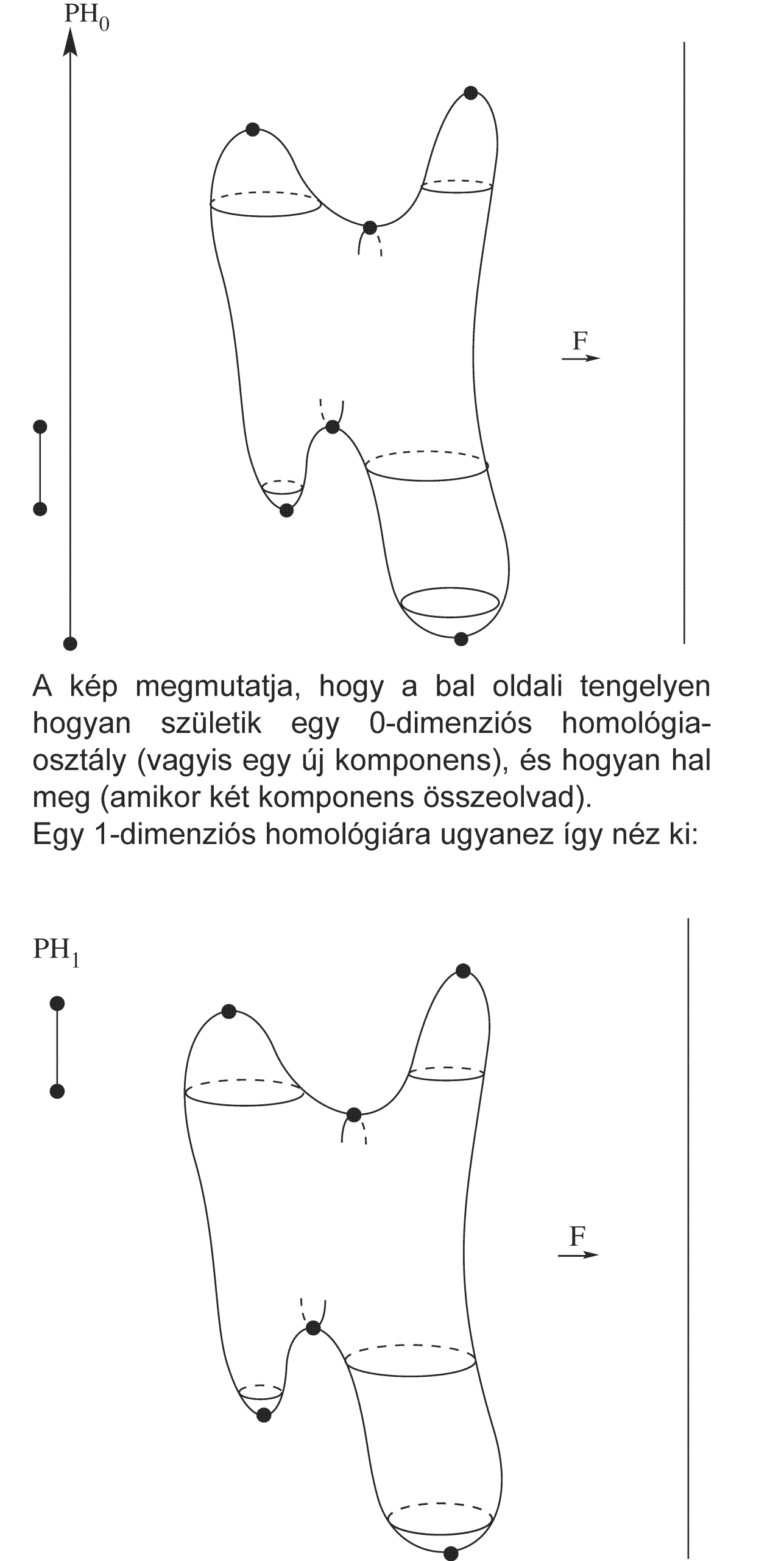 Persistent fig2x scaled