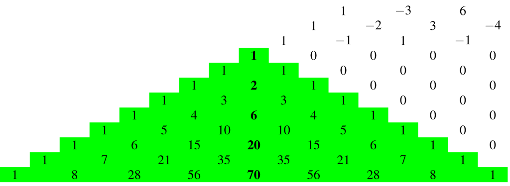 kutatodiak 1 scaled 1