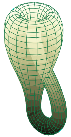 250px Klein bottle svg QzLR