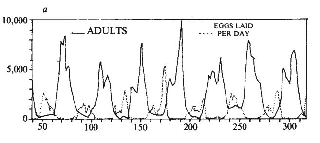 Nicholson