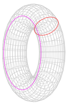 Torus cycles svg QzLR