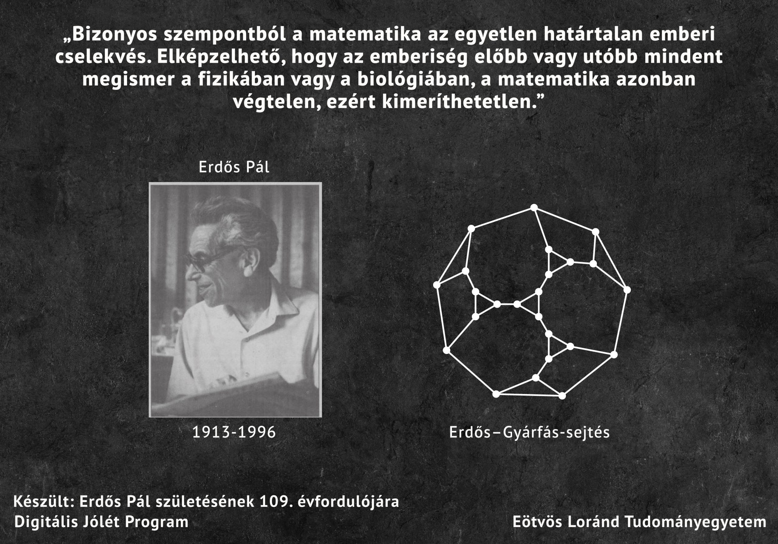Pólya György iskola, Erdős Pál kollégium 2 EP plakett preview1 0N9w scaled